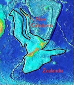 Zealandia, New Caledonia
