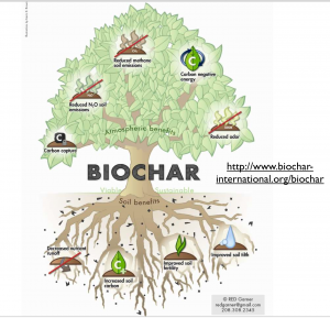 Biochar1