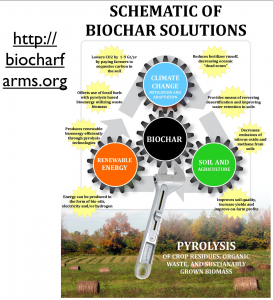 biochar2