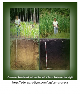 terra preta